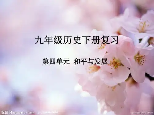 北师大版九年级历史下册复习提纲第四单元