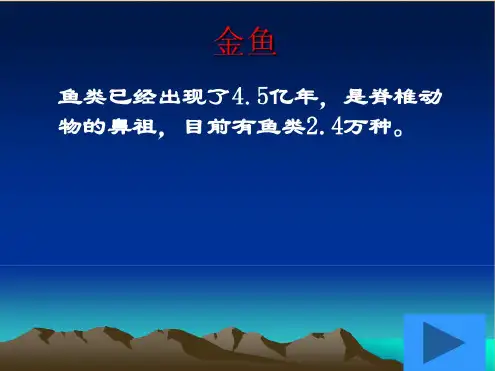 科学金鱼资料