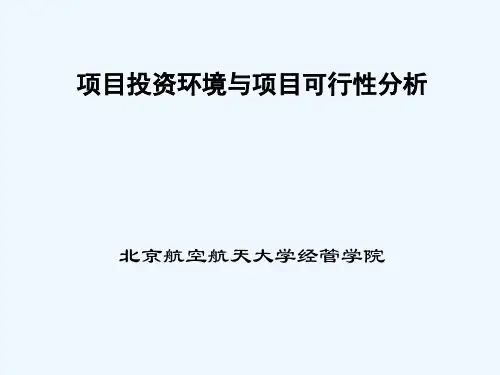 项目投资可行性分析
