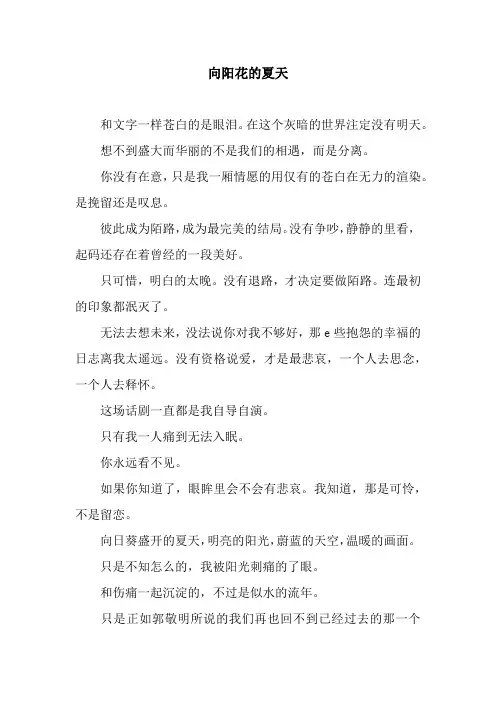 向阳花的夏天