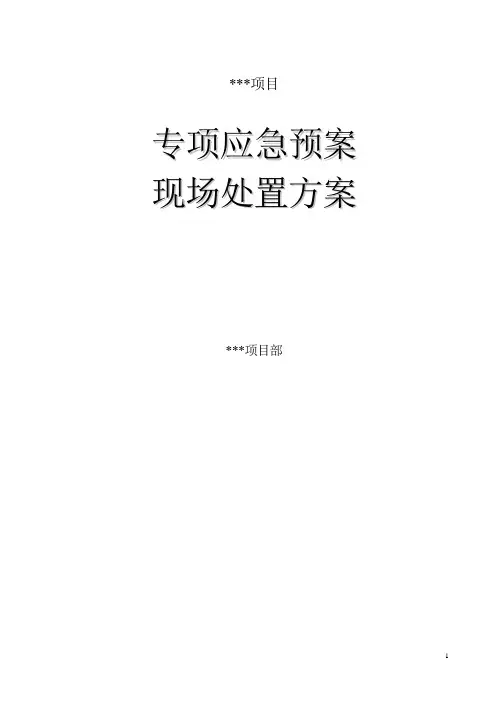 专项应急预案和现场处置方案