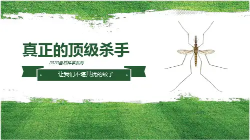 真正的顶级杀手--蚊子