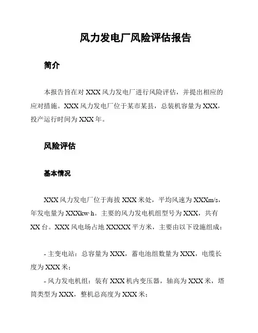 风力发电厂风险评估报告