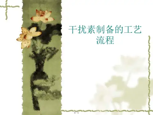 干扰素制备的工艺流程