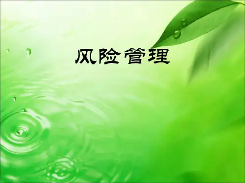 风险管理技术