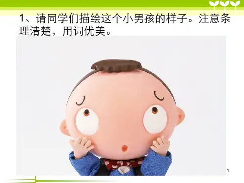 画鼻子PPT课件