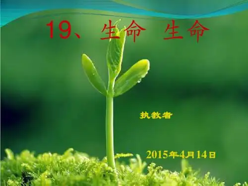 19.生命生命