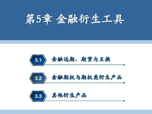 金融衍生工具概述(ppt 76页)