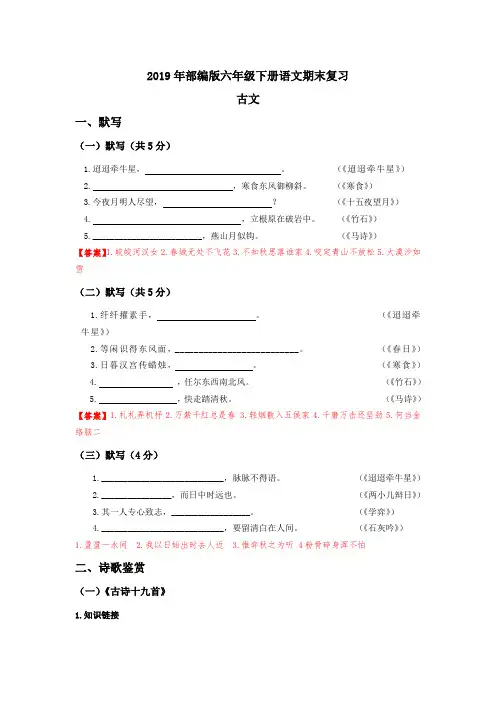上海部编版2019年六年级(预初)下册语文期末复习