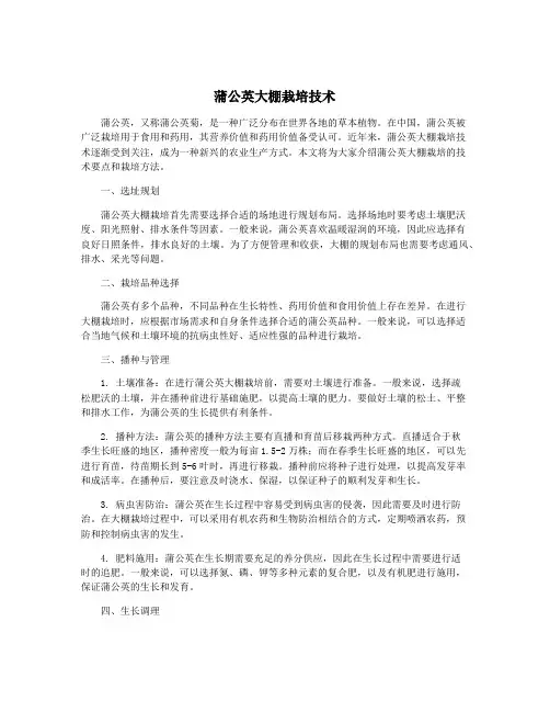 蒲公英大棚栽培技术
