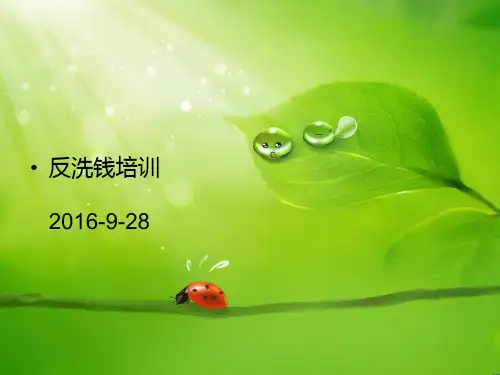 柜面业务反洗钱工作要点