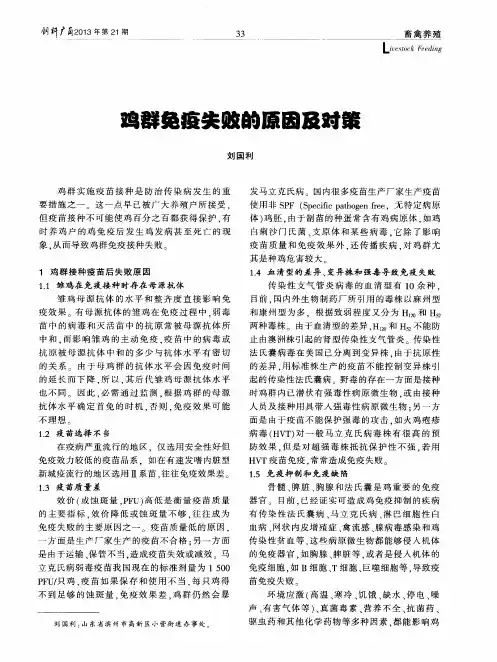 鸡群免疫失败的原因及时策