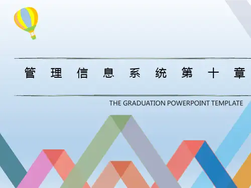 管理信息系统第十章