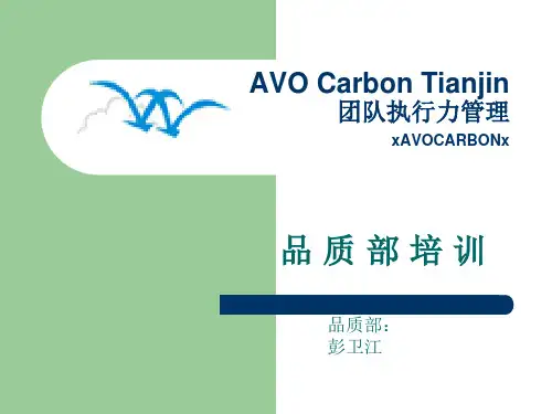 团队执行力管理讲义