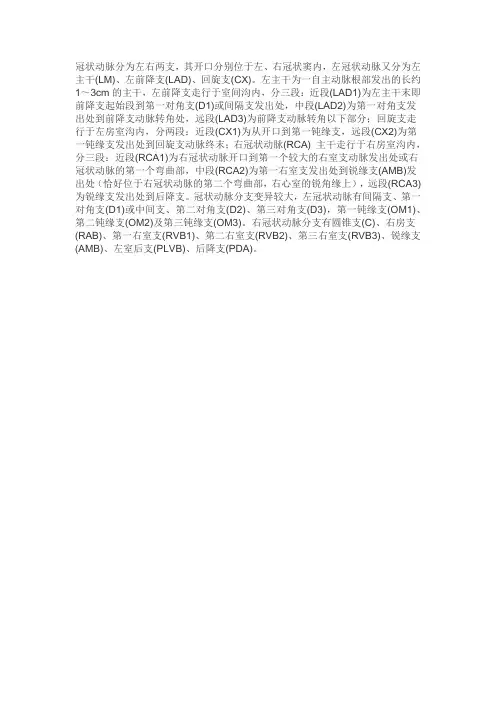 左右冠状动脉的分段