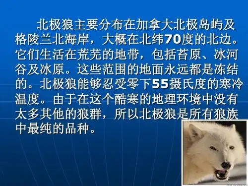 2016秋北京版语文五上《与北极狼为友的科学家》ppt课件1