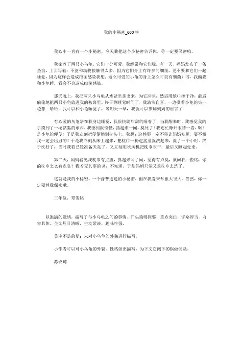 我的小秘密(600字作文)