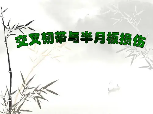 交叉韧带与半月板损伤