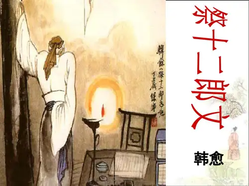 人教版高中语文选修“中国古代诗歌散文欣赏”祭十二郎文PPT课件