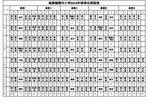 2015小学总课程表