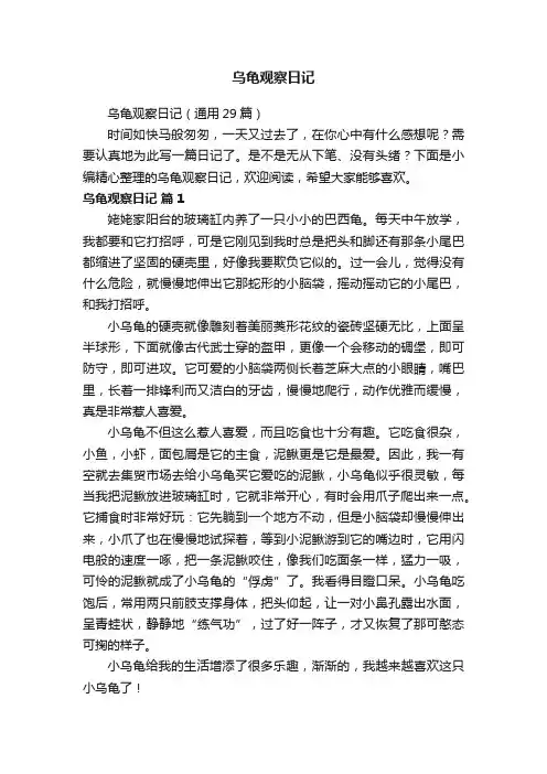乌龟观察日记（通用29篇）