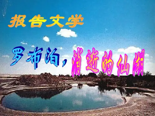 罗布泊