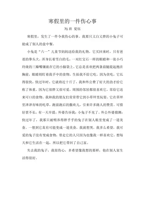 寒假里的一件伤心事