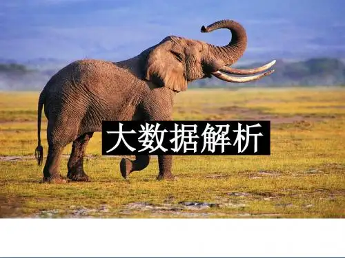 大数据解析