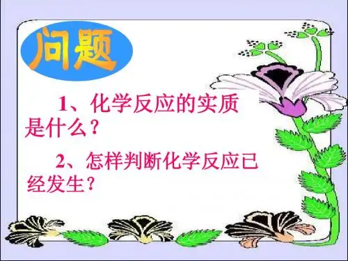 质量守恒定律 第一课时