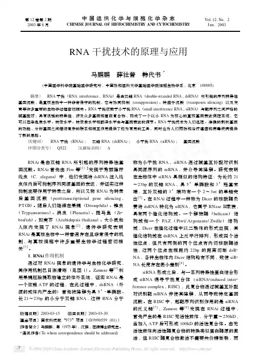 RNA干扰技术的原理与应用 2