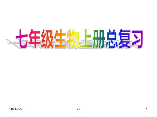 人教版七年级上册生物总复习