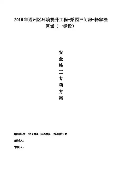 环境提升安全专项方案