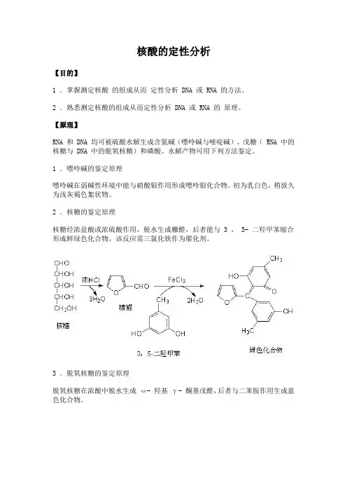 11 生物化学实验--核酸的定性分析