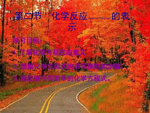 九年级化学全册《化学反应的表示》课件 