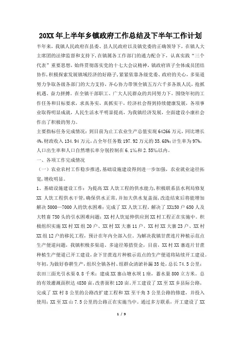 2019年上半年乡镇政府工作总结及下半年工作计划