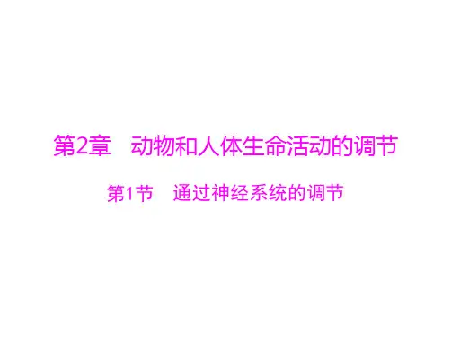 【导与练】新人教版生物必修三：2.1《通过神经系统的调节》ppt课件(59页)
