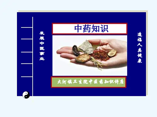专业培训课件1-中药知识