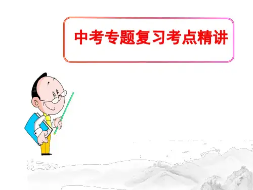 (名师整理)最新部编人教版语文中考名著阅读《艾青诗选》专题提升精讲精练