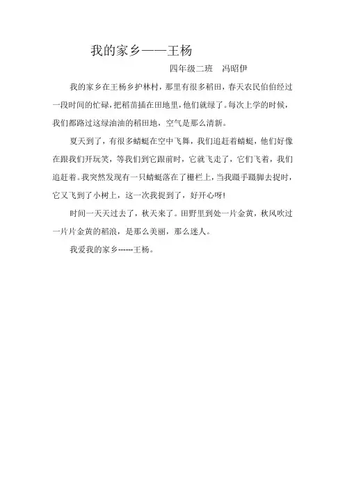 我的家乡王杨