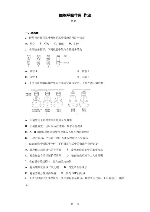【必修一】细胞呼吸作用(二)练习题