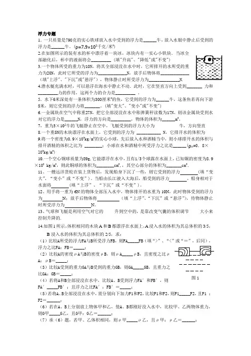 物理浮力 Microsoft Office Word 文档