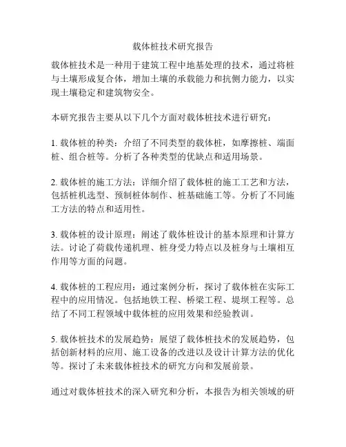 载体桩技术研究报告