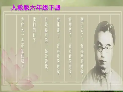 六年级下册课文匆匆课件.ppt