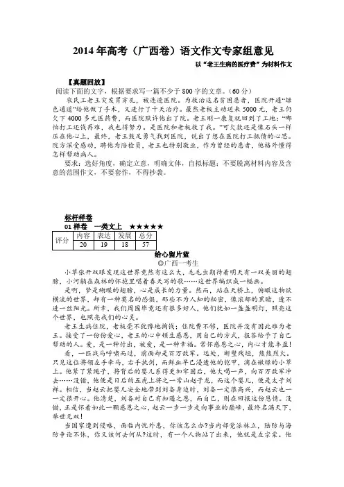 【恒心】2014年高考(广西卷)语文作文专家组意见(附考场高分作文)