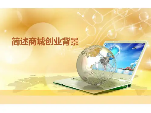 简述商城创业背景