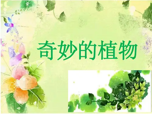 小学一年级识字——奇妙的植物 ppt