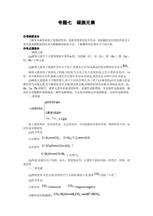 专题七  碳族元素