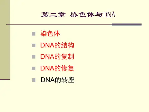 分子生物学-02 染色体与DNA