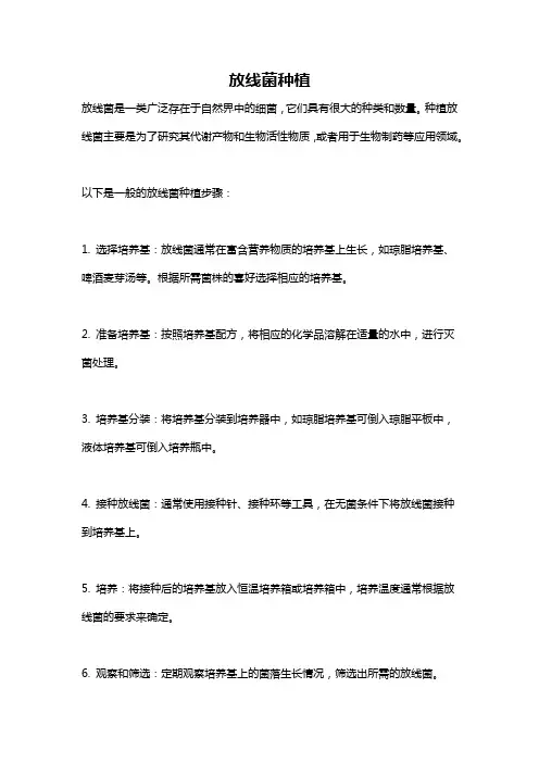 放线菌种植