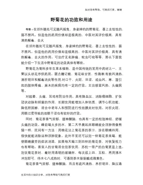 野菊花的功效和用途